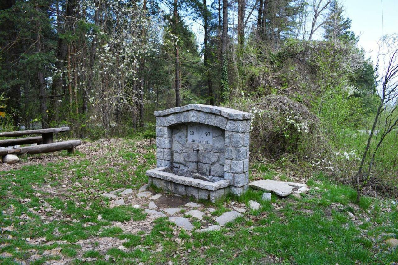 Detelina Residence Bansko Zewnętrze zdjęcie